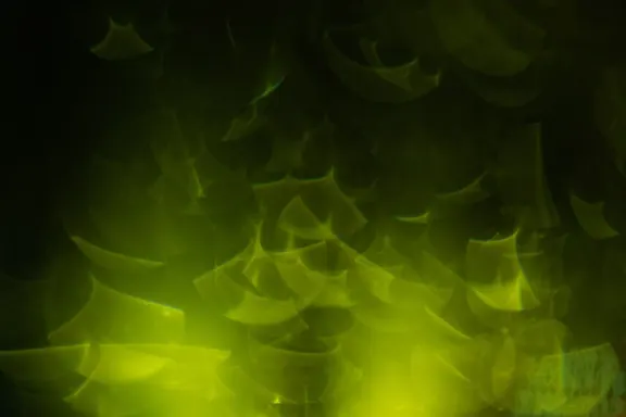 ビリオン カジノ サポート